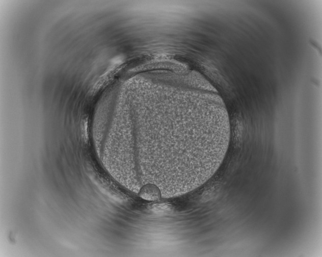 X0000102480262200808291633