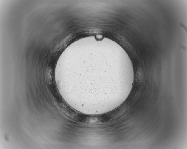 X0000102480264200808291633