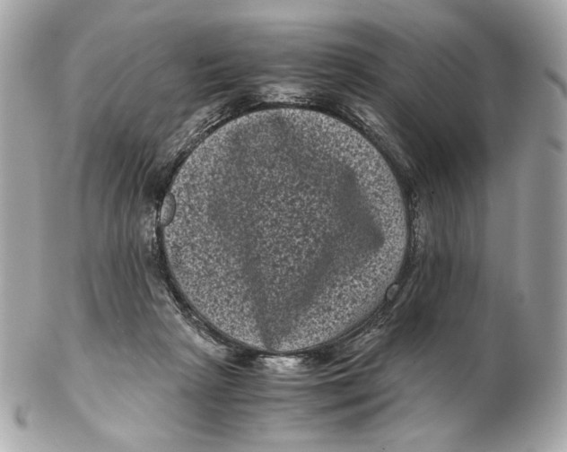 X0000102480265200808291633