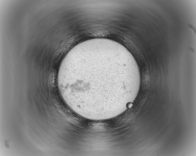 X0000102480268200808291633