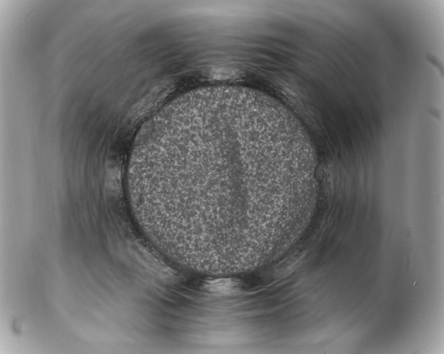 X0000102480269200808291633