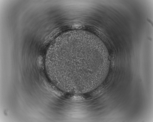 X0000102480270200808291633