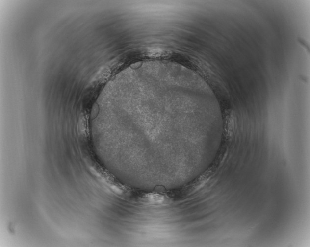 X0000102480272200808291634