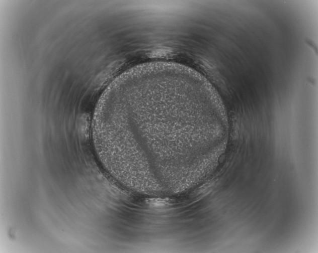 X0000102480273200808291634