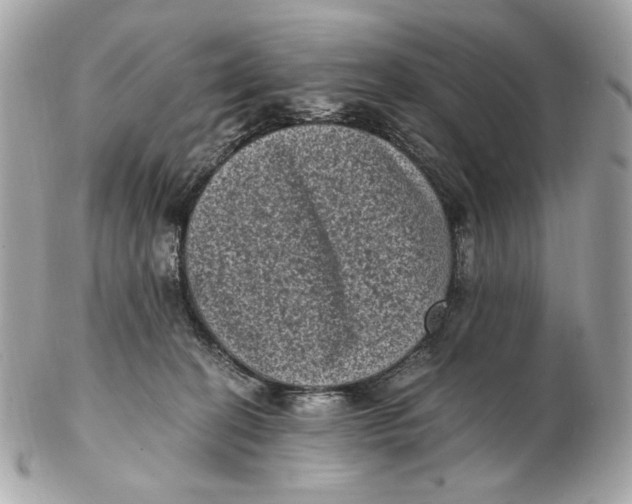 X0000102480274200808291634