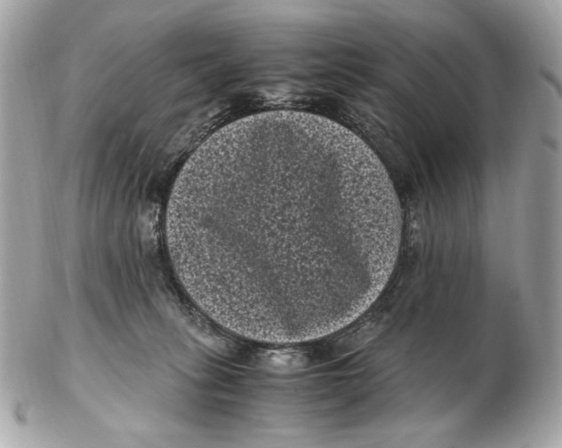 X0000102480275200808291634