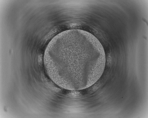 X0000102480278200808291634