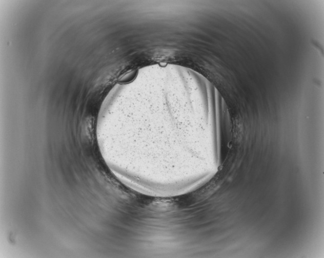 X0000102480280200808291634