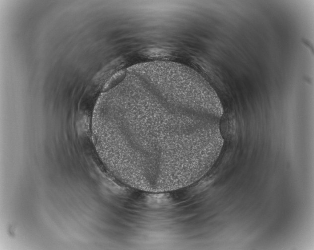 X0000102480281200808291634