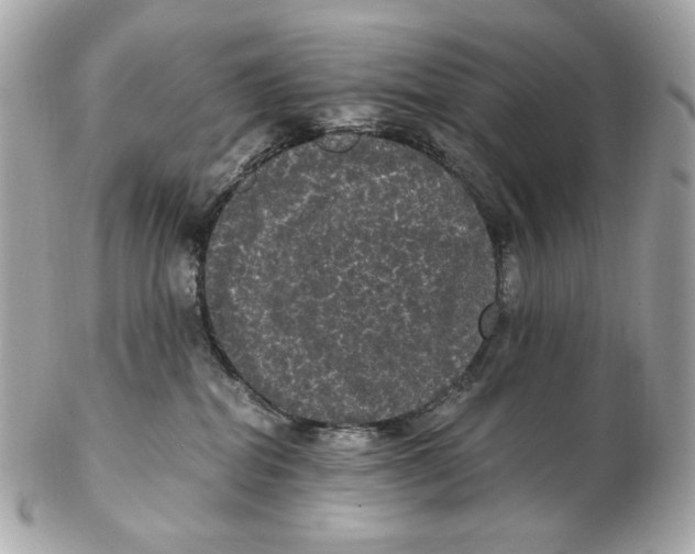 X0000102480282200808291634