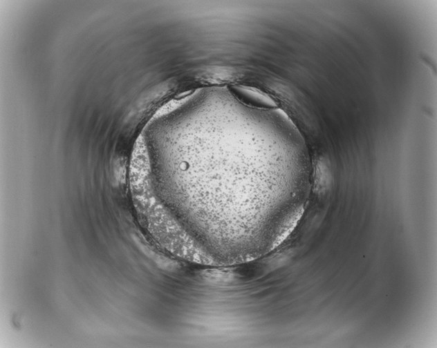 X0000102480284200808291634