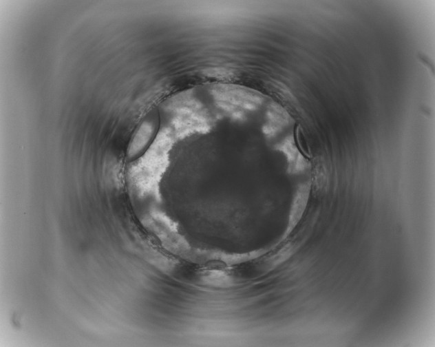 X0000102480285200808291634