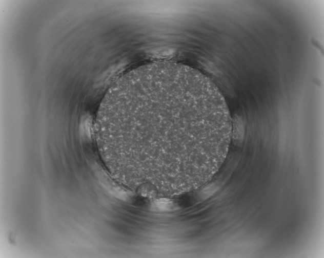 X0000102480287200808291634