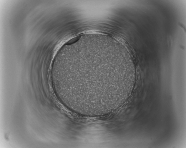 X0000102480289200808291633