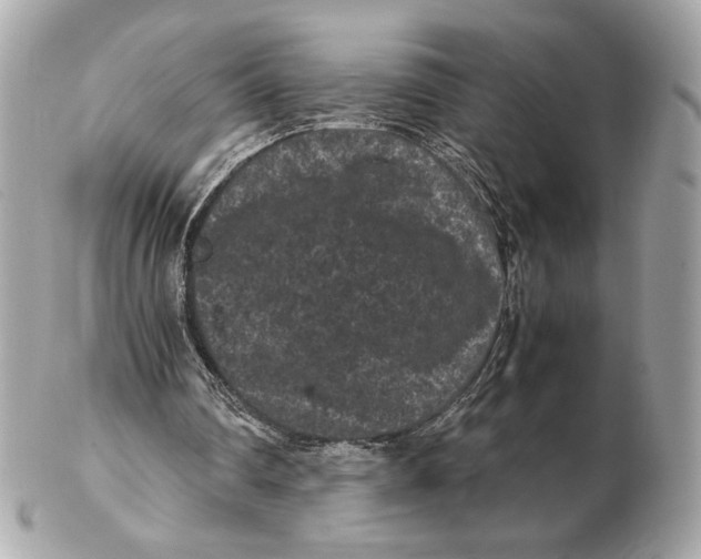 X0000102480290200808291633