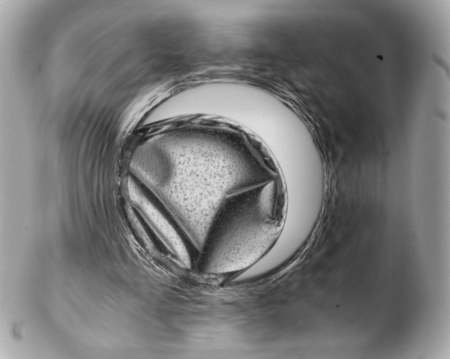 X0000102480293200808291633