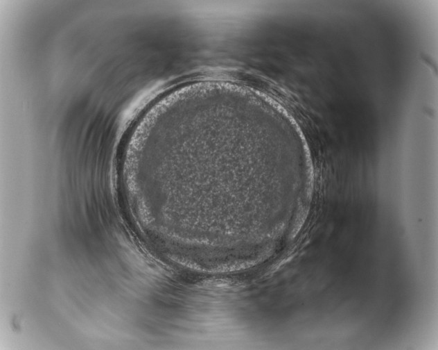 X0000102480294200808291633