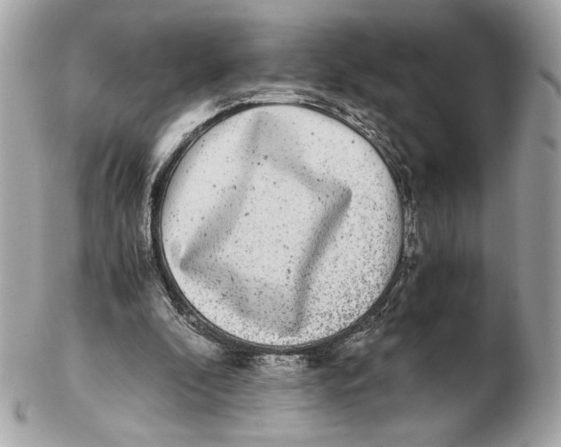 X0000102480296200808291633