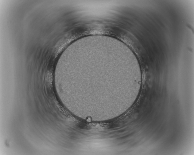 X0000102480297200808291633