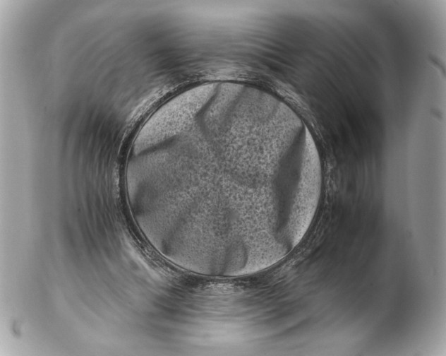 X0000102480298200808291633