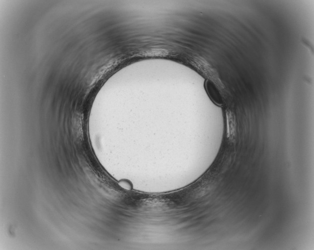 X0000102480300200808291633