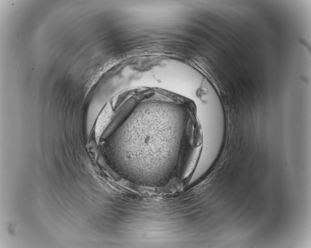 X0000102480301200808291633