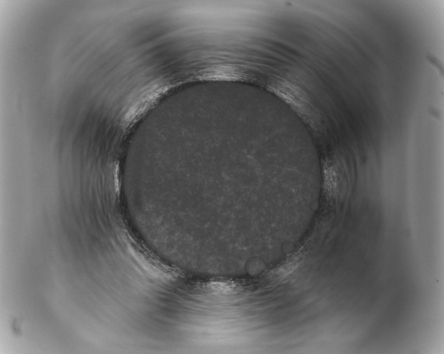 X0000102480302200808291633