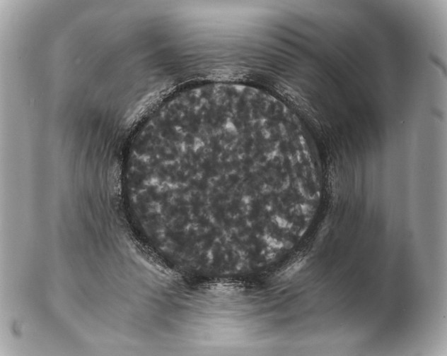 X0000102480303200808291633