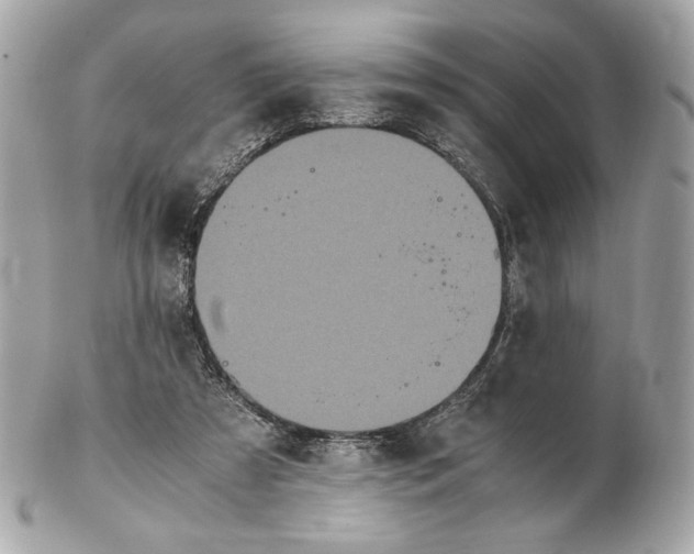 X0000102480305200808291633