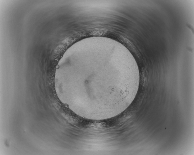 X0000102480307200808291633