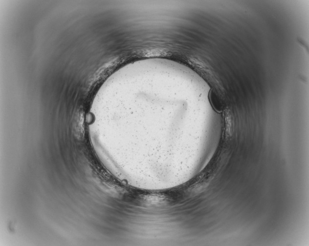 X0000102480308200808291633