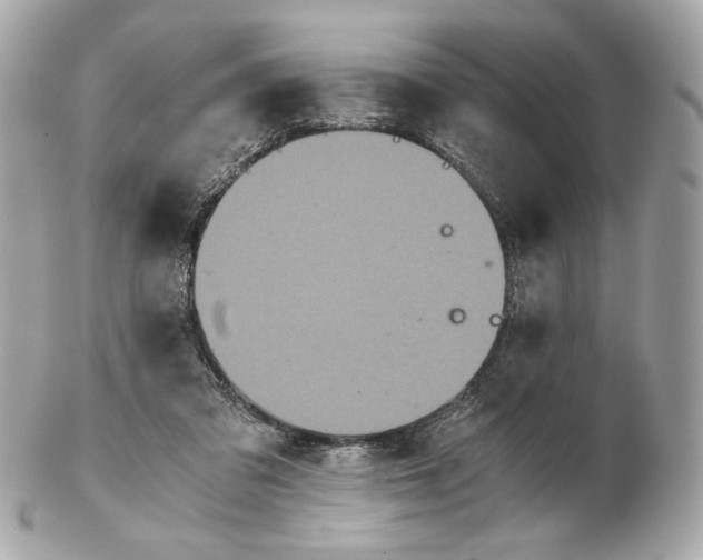 X0000102480309200808291633