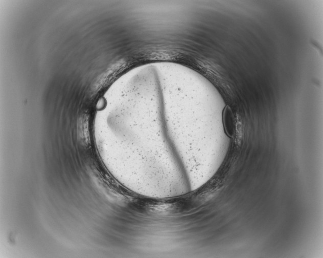 X0000102480312200808291633