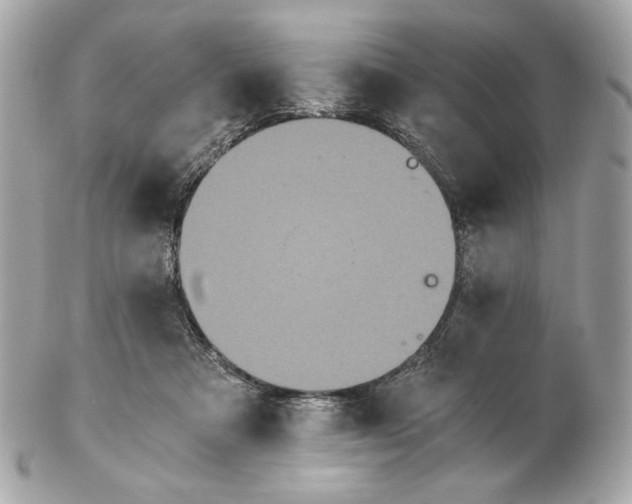 X0000102480313200808291633