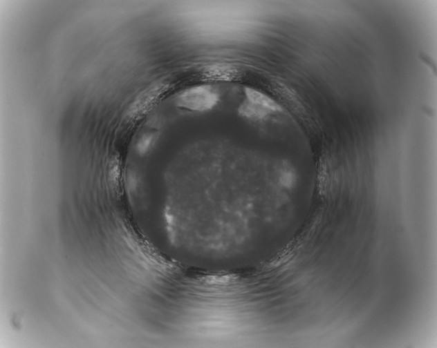 X0000102480314200808291633