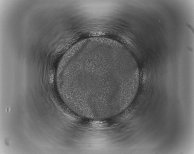 X0000102480315200808291633