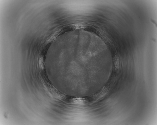 X0000102480316200808291633