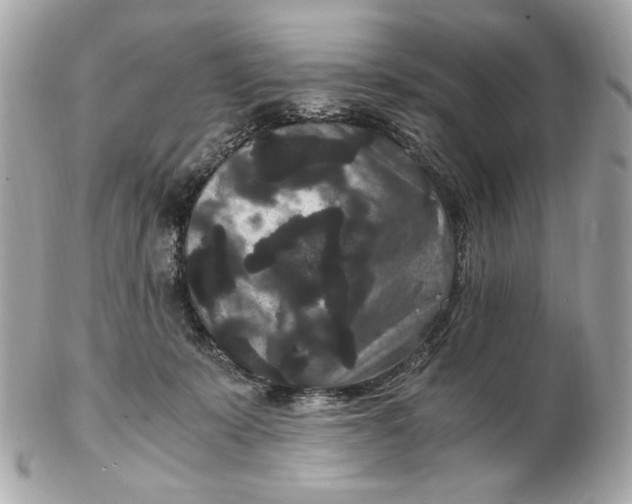 X0000102480319200808291633