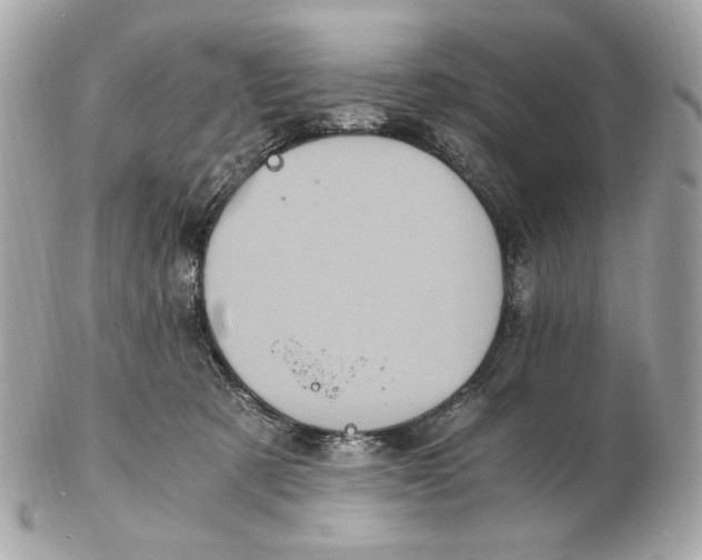 X0000102480321200808291633