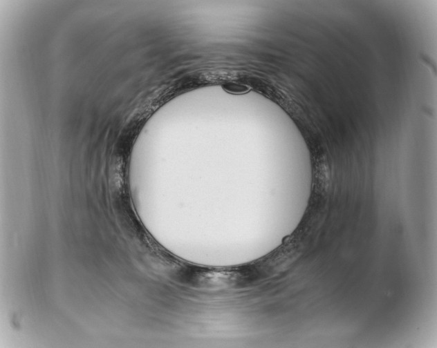 X0000102480323200808291633