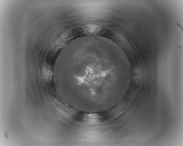 X0000102480324200808291633