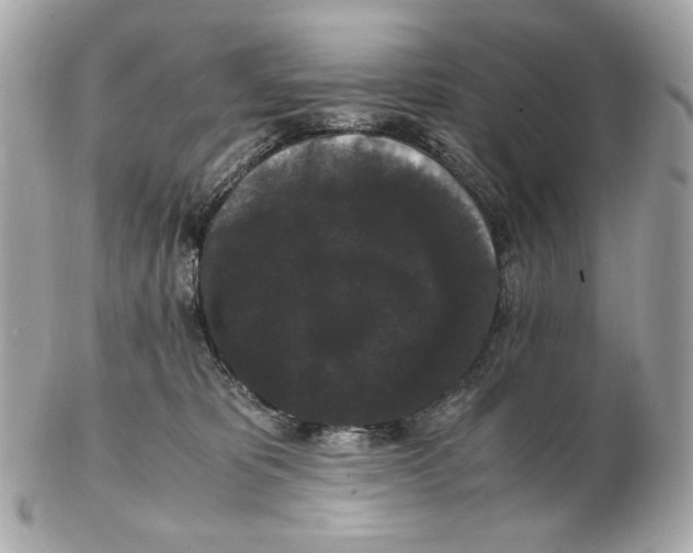 X0000102480325200808291633