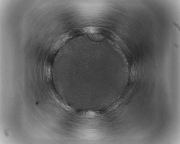 X0000102480330200808291633