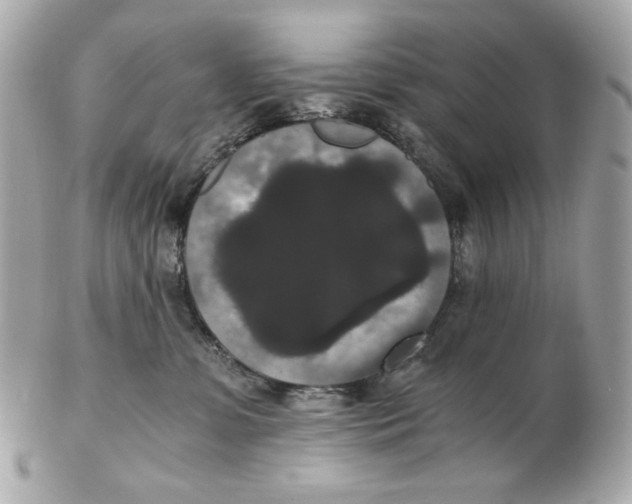 X0000102480331200808291633