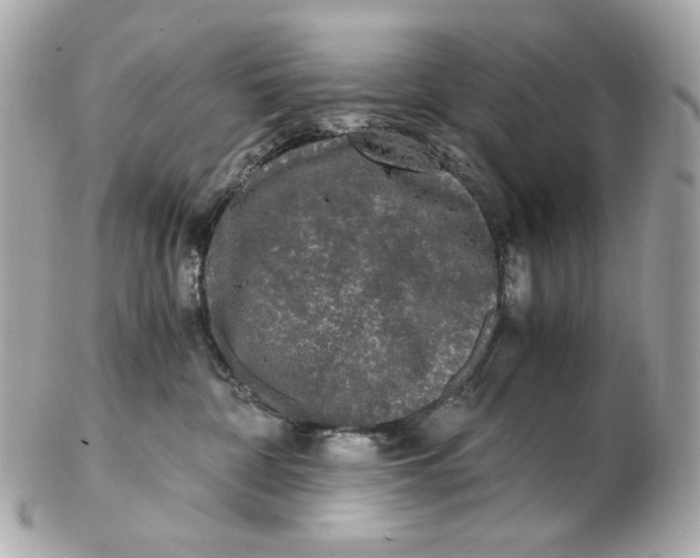 X0000102480332200808291632