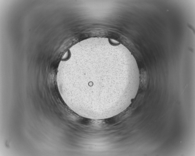 X0000102480333200808291632