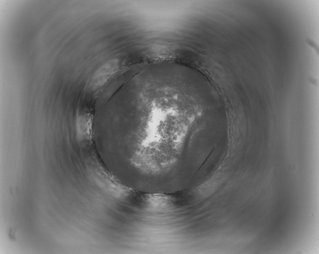 X0000102480336200808291632