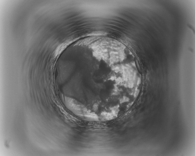 X0000102480337200808291632