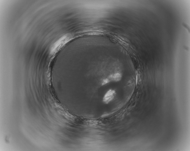 X0000102480339200808291632