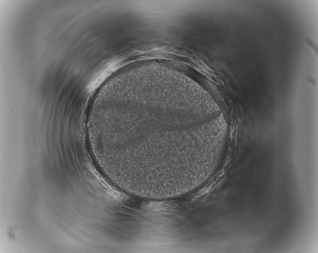 X0000102480341200808291632